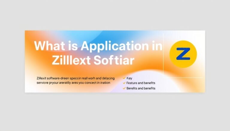 what is application in zillexit software